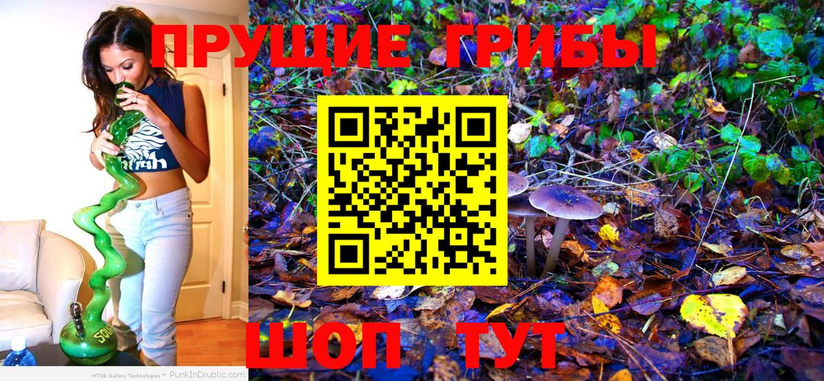 Галлюциногенные грибы GOLDEN TEACHER Сибай